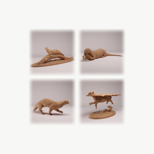 Tiere aus südamerika - tiere,